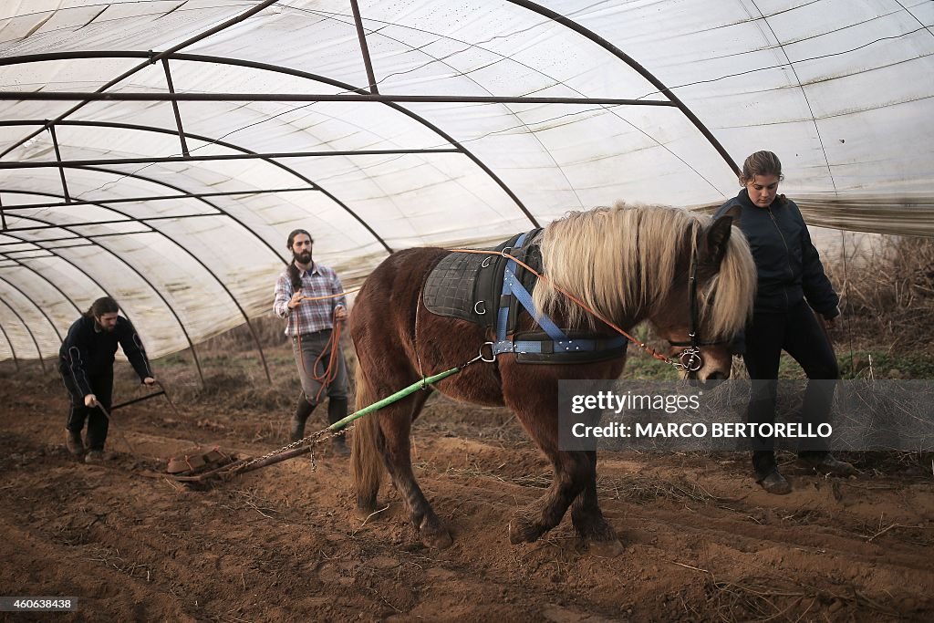 ITALY-HORSES-AGRICULTURE-MEAT