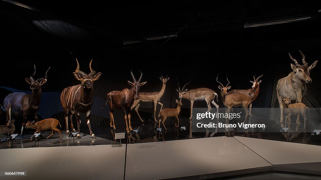 'Le Musee Des Confluences' Opens In Lyon