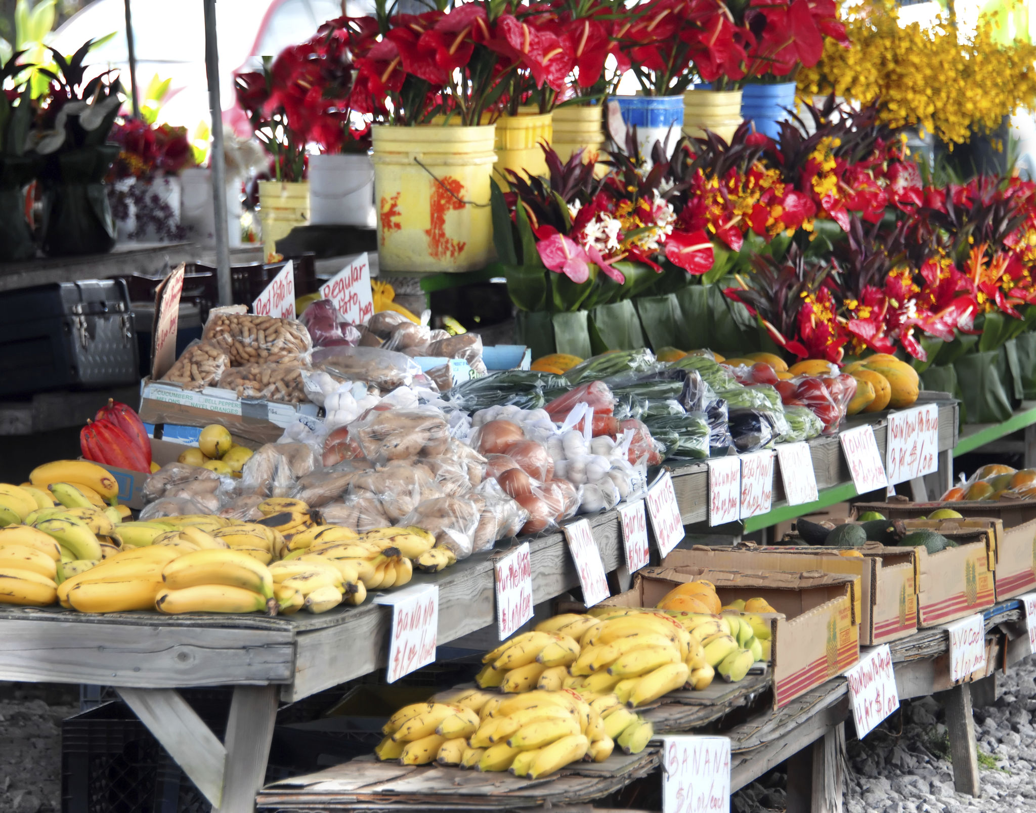 hawaii farmers market