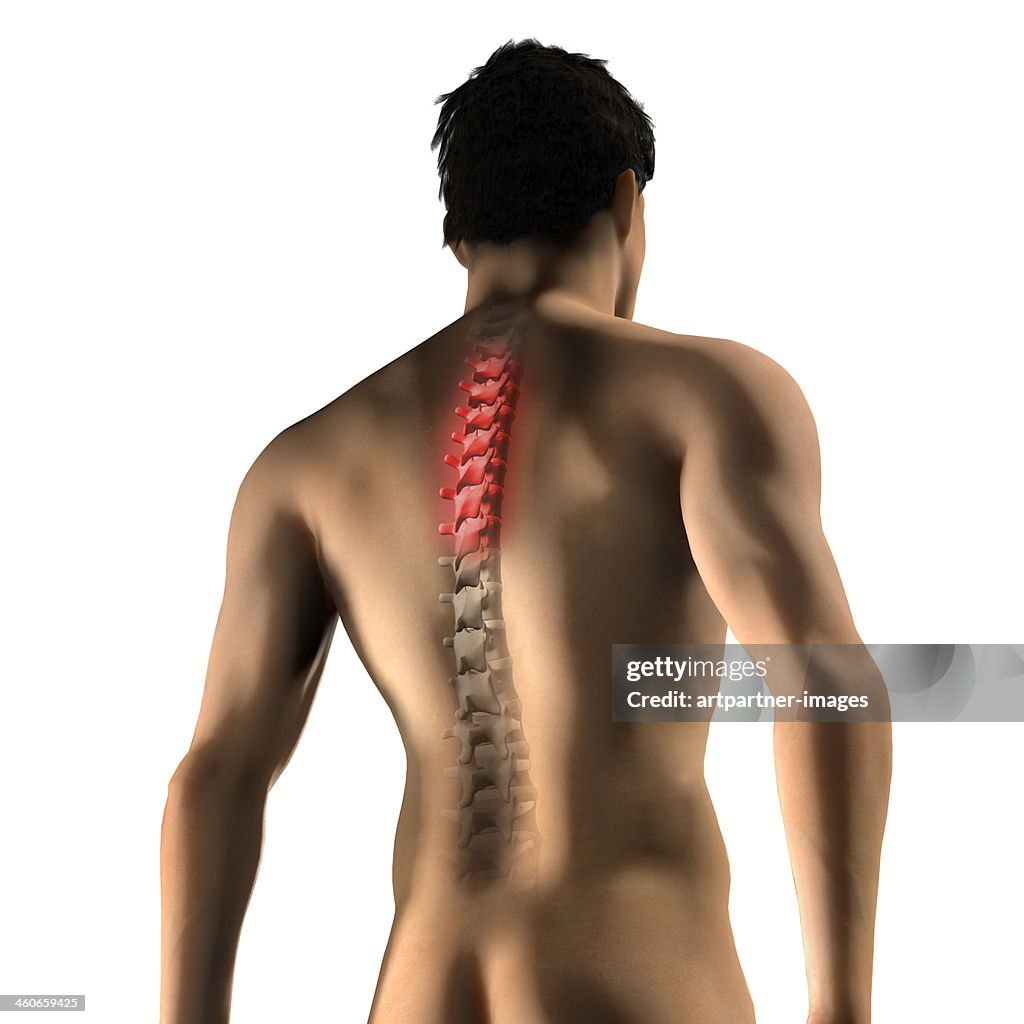 Male back with red area at thoracic spine on white