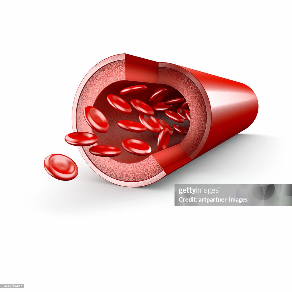 Blood vessel with blood platelets on white