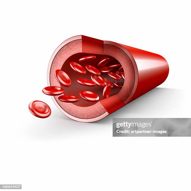 blood vessel with blood platelets on white - adern stock-fotos und bilder