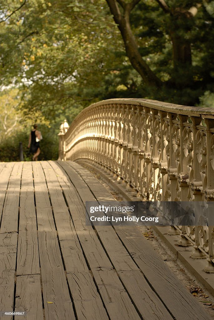 Bridge in Central Park with woman in foreground