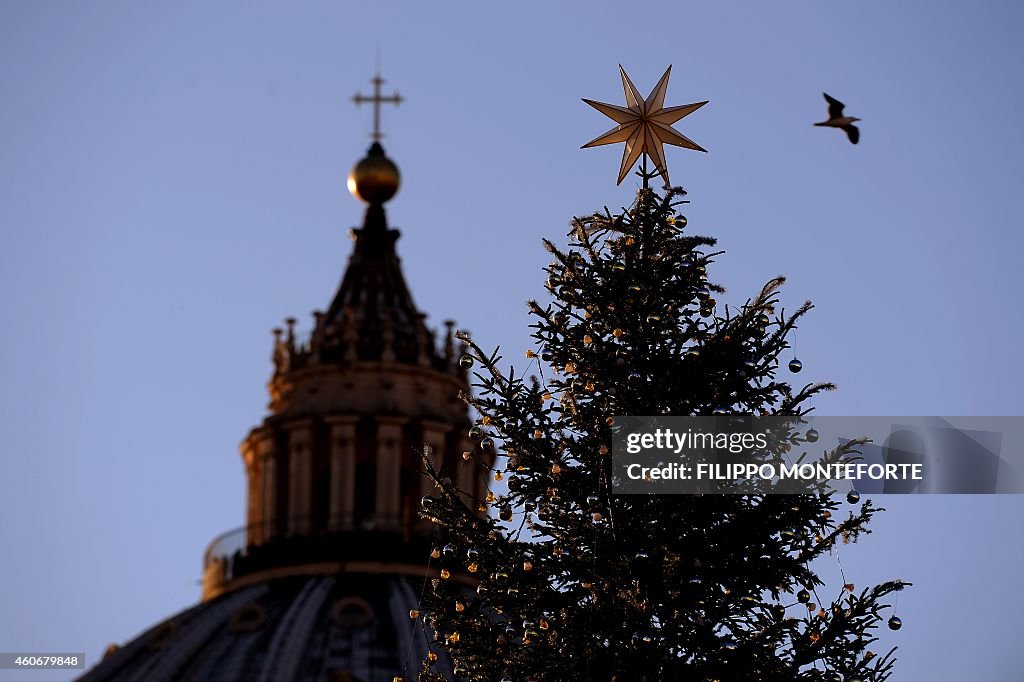 VATICAN-CHRISTMAS-TREE