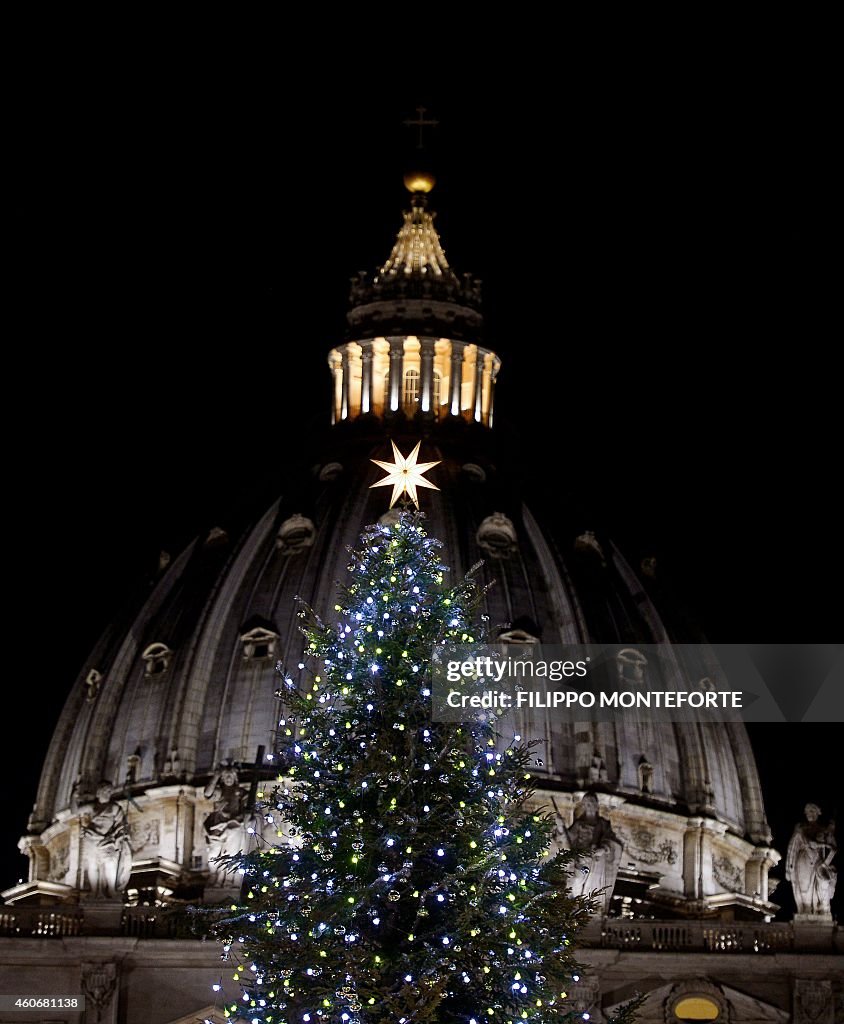 VATICAN-CHRISTMAS-TREE