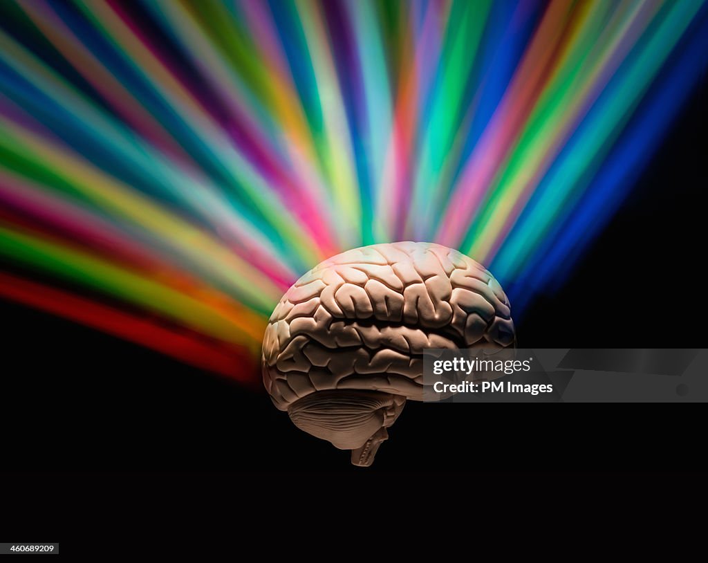 Human Brain With Rainbow Colors High-Res Stock Photo - Getty Images