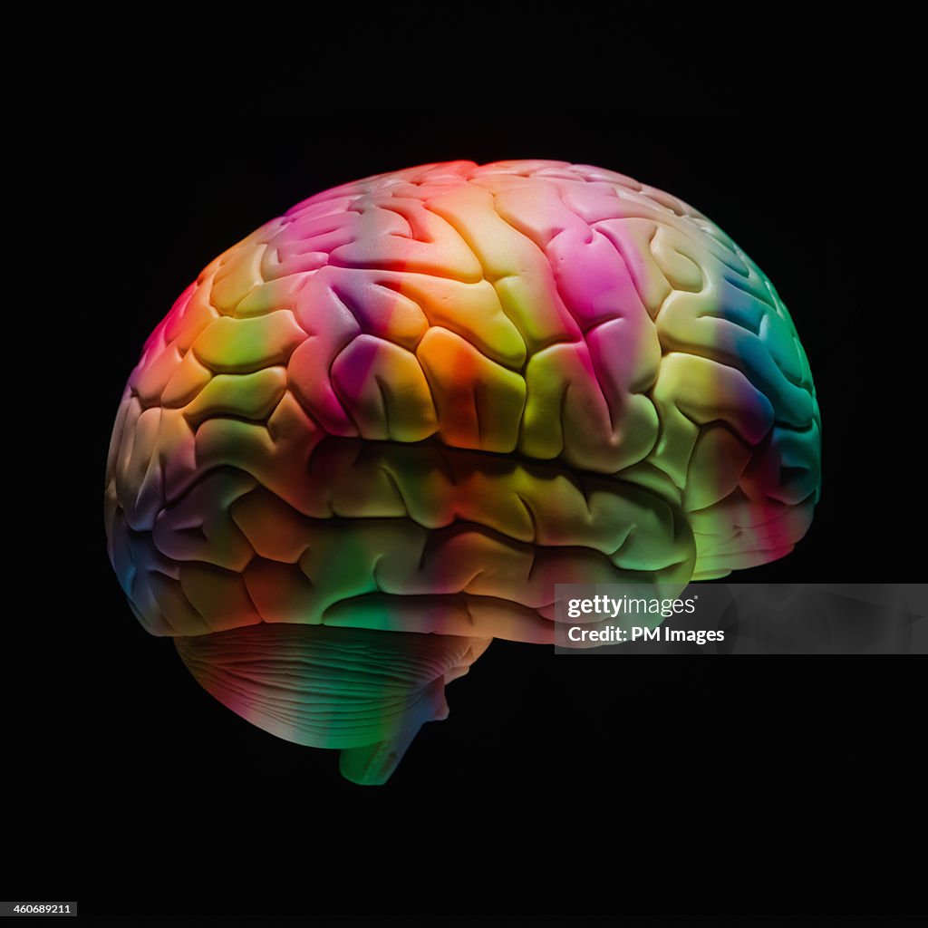 Multi colored human brain