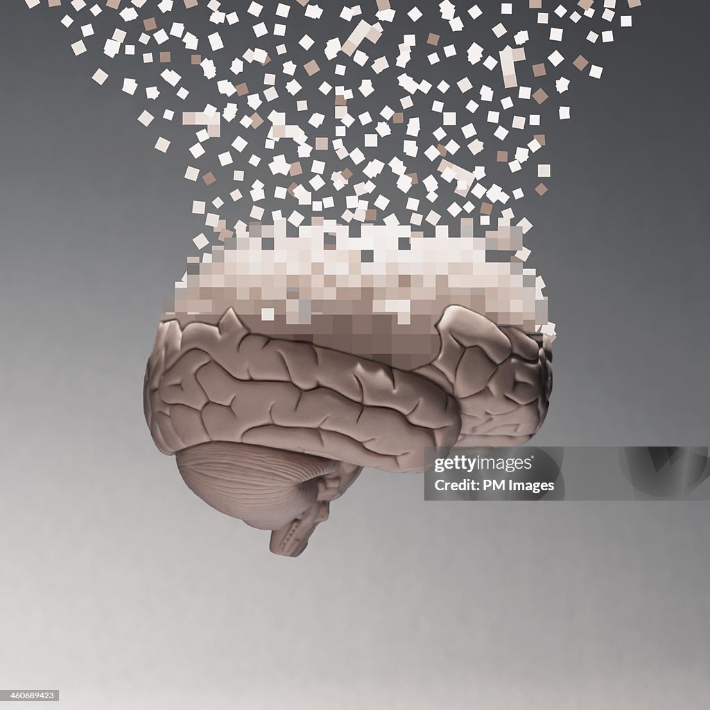 Brain data