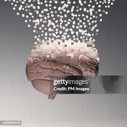Brain data Brain data