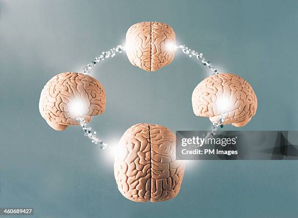 four connected brains - テレパシー ストックフォトと画像