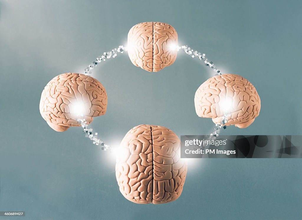 Four connected brains