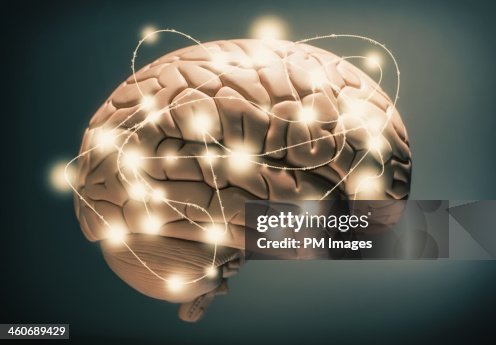 Active human brain Active human brain