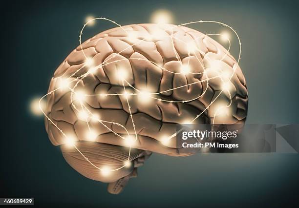 active human brain - cerveau humain photos et images de collection