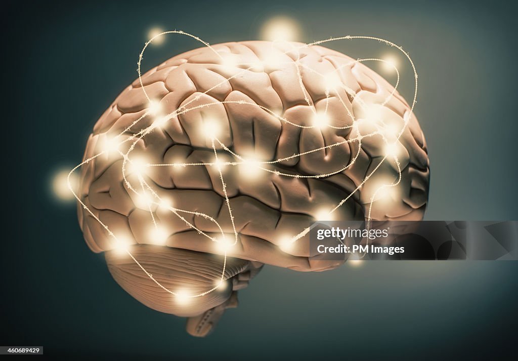 Active human brain