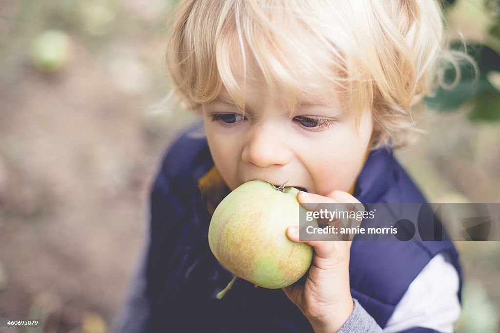 Boy eating apple