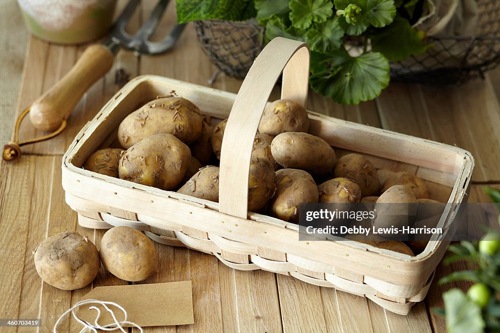 Raw potatoes in basket