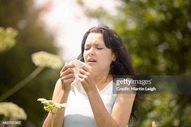 girl about to sneeze into tissue - sneezing 個照片及圖片檔