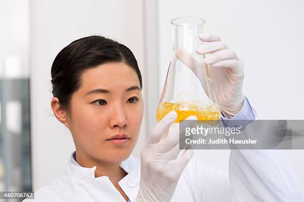 female scientist examining bacterial growth in flask containing lb (lysogeny broth) medium - pallone di vetro foto e immagini stock