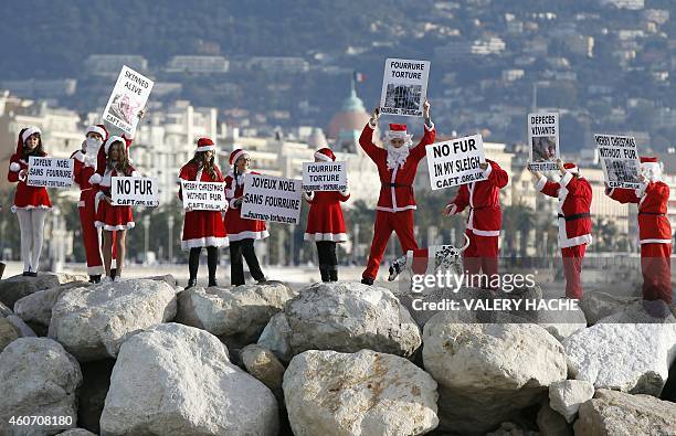 Members of the French anti-fur group "CAFT" , dressed up as Santa Claus, demonstrate on December 20 along the sea in Nice, southeastern France. AFP...