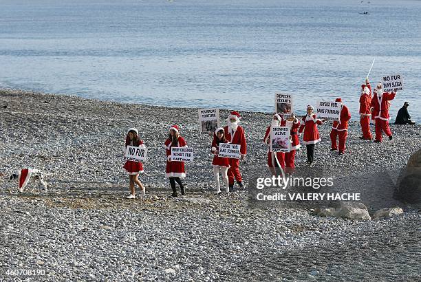 Members of the French anti-fur group "CAFT" , dressed up as Santa Claus, walk on the beach on December 20 in Nice, southeastern France. AFP PHOTO /...