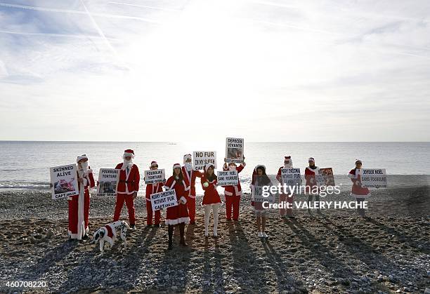 Members of the French anti-fur group "CAFT" , dressed up as Santa Claus, demonstrate on the beach on December 20 in Nice, southeastern France. AFP...