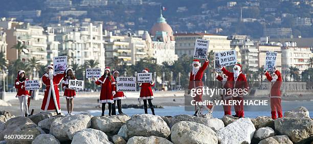 Members of the French anti-fur group "CAFT" , dressed up as Santa Claus, demonstrate on December 20 along the sea in Nice, southeastern France. AFP...