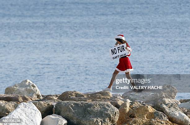 Member of the French anti-fur group "CAFT" , dressed up as Santa Claus, walks as she demonstrates on December 20 in Nice, southeastern France. AFP...