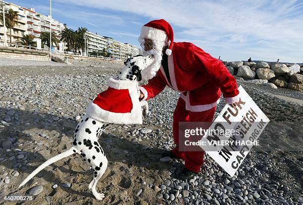 Dog plays with a member of the French anti-fur group "CAFT" , dressed up as Santa Claus, during a demonstration on December 20 on the beach in Nice,...