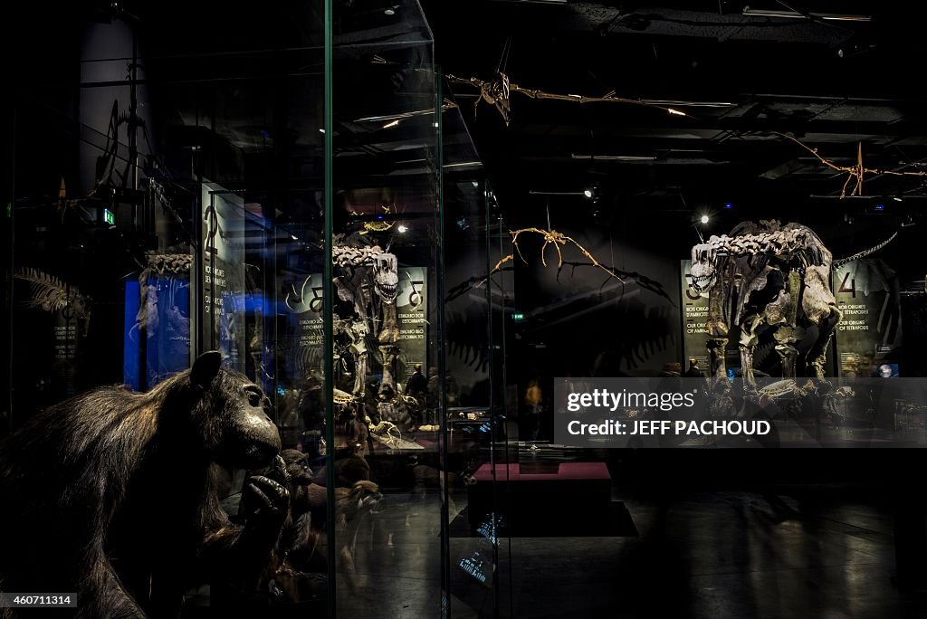 FRANCE-MUSEUM-SCIENCE-ANTHROPOLOGY