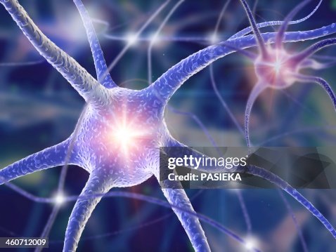 Nerve cells, computer artwork Nerve cells, computer artwork