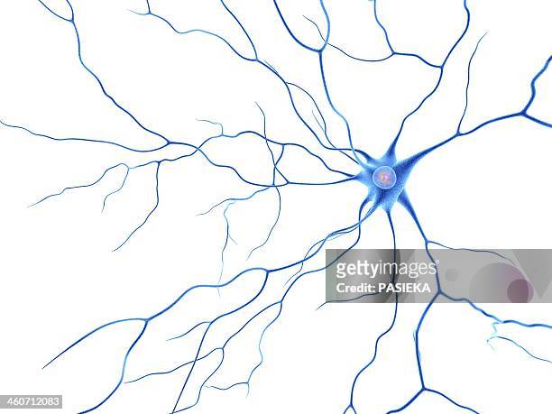 nerve cell, artwork - synapse 幅插畫檔、美工圖案、卡通及圖標