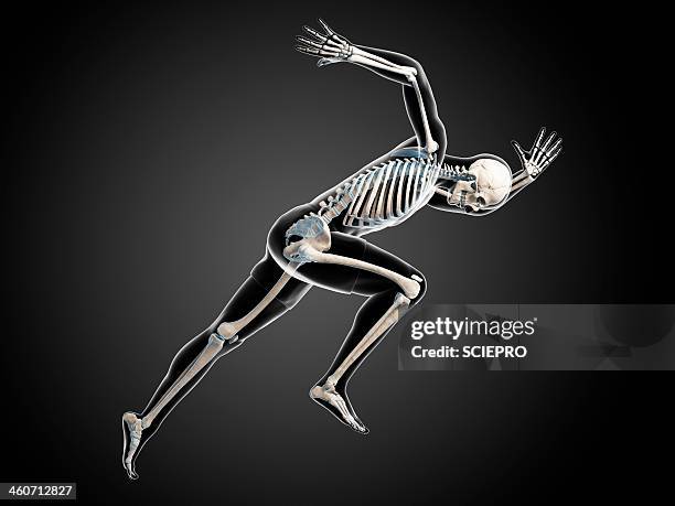 115 Leaning Skeleton Stock Photos, High-Res Pictures, and Images ...