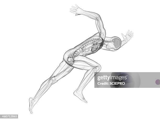 115 Leaning Skeleton Stock Photos, High-Res Pictures, and Images ...