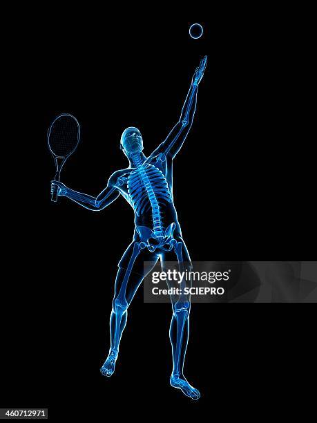 tennis player, artwork - translucent stock illustrations