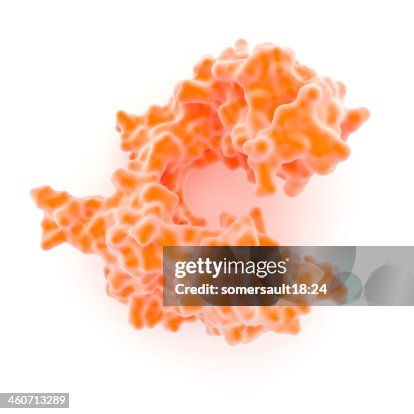 DNA polymerase molecule DNA polymerase molecule