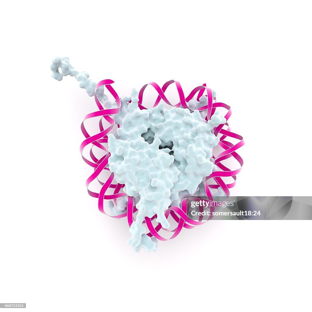 DNA nucleosome, artwork