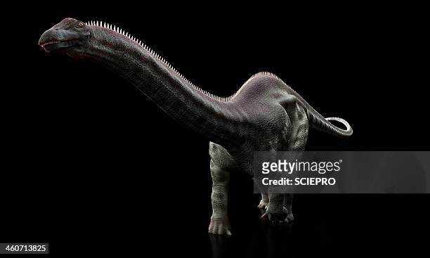apatosaurus dinosaur, artwork - herbivorous stock illustrations