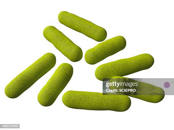 ilustraciones, imágenes clip art, dibujos animados e iconos de stock de bacillus bacteria, artwork - bacteria