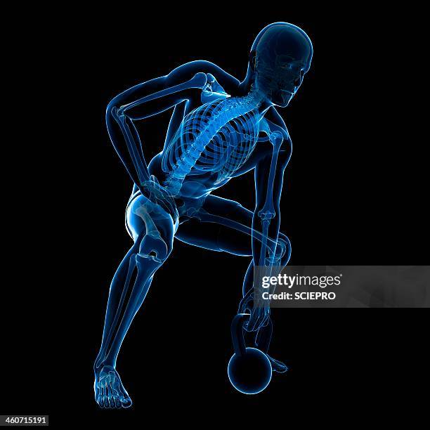 kettlebell workout, artwork - hockend stock-grafiken, -clipart, -cartoons und -symbole
