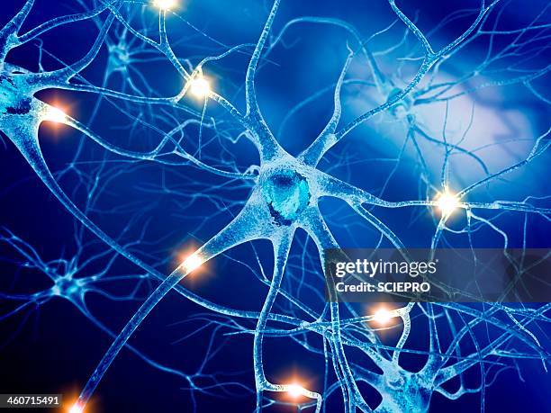 active nerve cells, artwork - nervenzelle stock-grafiken, -clipart, -cartoons und -symbole
