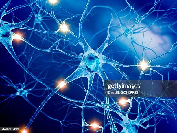 active nerve cells, artwork - neurology stock-grafiken, -clipart, -cartoons und -symbole