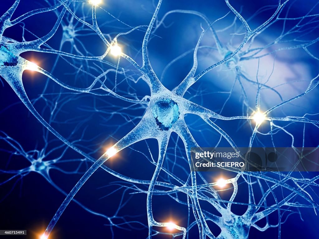 Active nerve cells, artwork