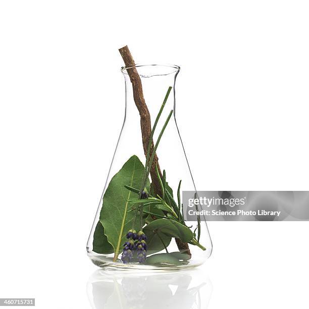 medicinal plants, conceptual image - beaker white background stock pictures, royalty-free photos & images