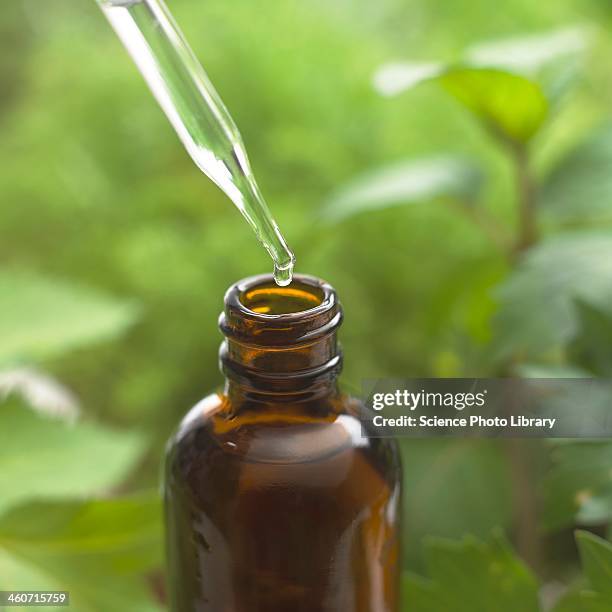 herbal tincture - dropper bottle stock pictures, royalty-free photos & images