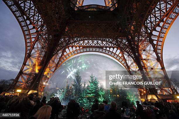 People gather around an installation of pine trees in a giant snow globe under the Eiffel Tower in central Paris on December 20, 2014. AFP PHOTO /...