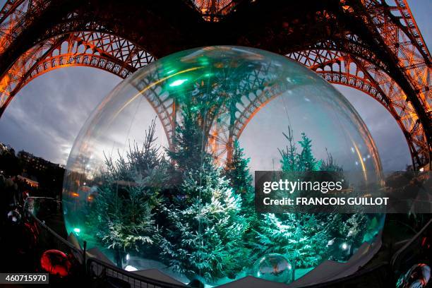 Pine trees are displayed in a giant snow globe under the Eiffel Tower in central Paris on December 20, 2014. AFP PHOTO / FRANCOIS GUILLOT / AFP PHOTO...