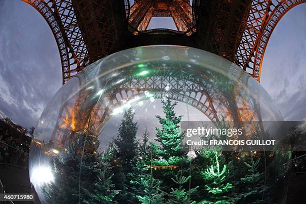 Pine trees are displayed in a giant snow globe under the Eiffel Tower in central Paris on December 20, 2014. AFP PHOTO / FRANCOIS GUILLOT