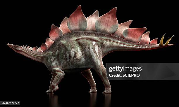 stegosaurus dinosaur, artwork - stegosaurus stock illustrations