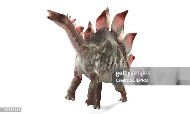 stegosaurus dinosaur, artwork - stegosaurus stock-grafiken, -clipart, -cartoons und -symbole