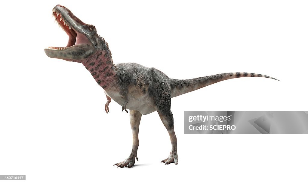 Tarbosaurus dinosaur, artwork